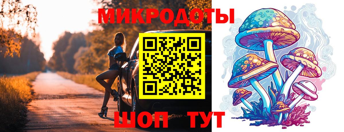 Кимры  наркота  Вход с VPN  Галлюциногенные грибы GOLDEN TEACHER 