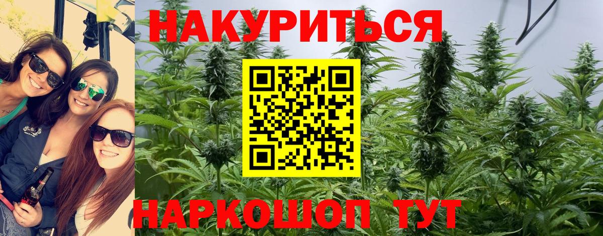 Конопля OG Kush Кимры